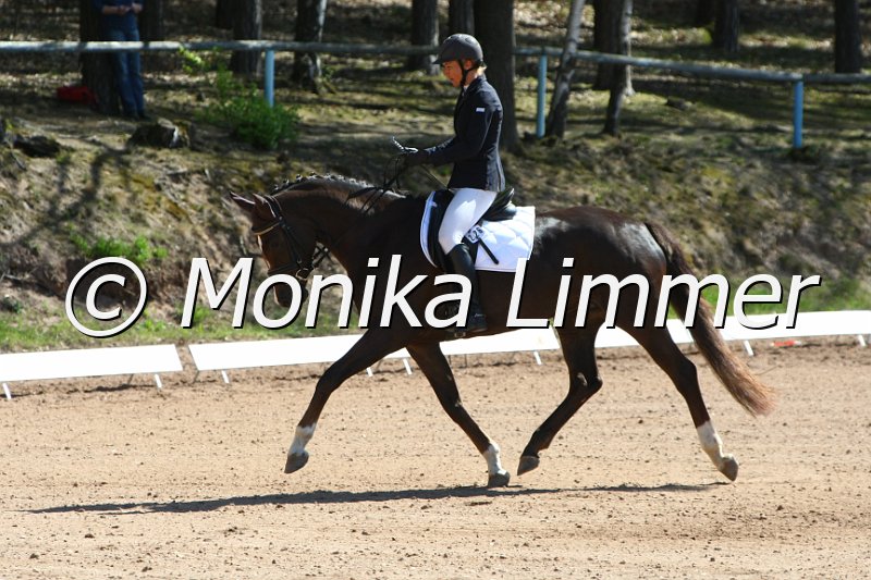 Kopie (1) von 203M6501.JPG